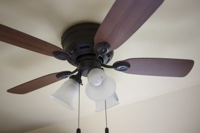 Ceiling Fan Replacement