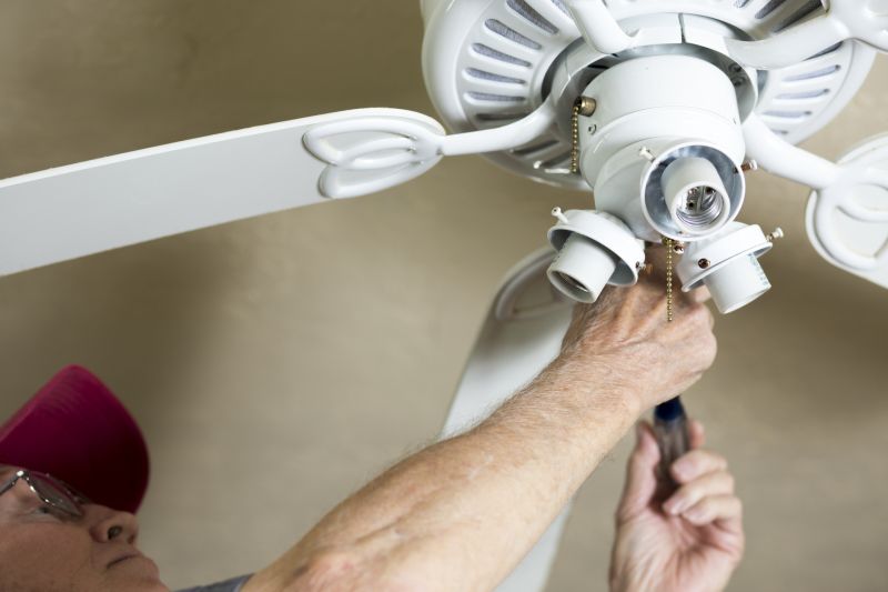 Ceiling Fan Repair detail